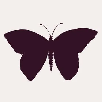 Vector illustration with magic hand drawn butterfly イラスト素材