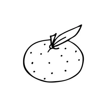 Vector illustration of mandarin with leaf in doodle style Stock Illustration