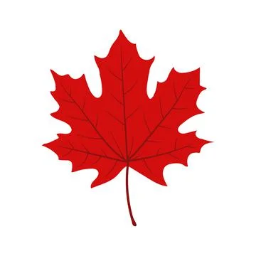 Vector illustration of maple leaf icon in flat style. Stock Illustration