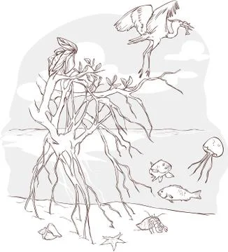 Vector illustration of a Marine Ecosystem Stock Illustration