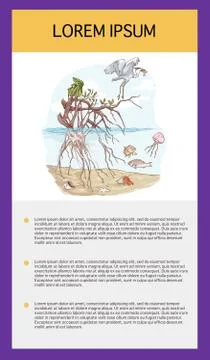 Vector illustration of a Marine Ecosystem Stock Illustration