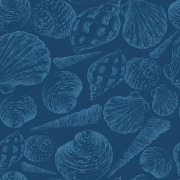 Vector illustration marine seamless pattern hand drawn seashells イラスト素材