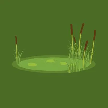 Vector illustration of the marsh, reeds and water lilies on a green background Stock Illustration