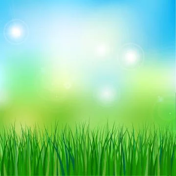 Vector illustration of meadow Stock Illustration