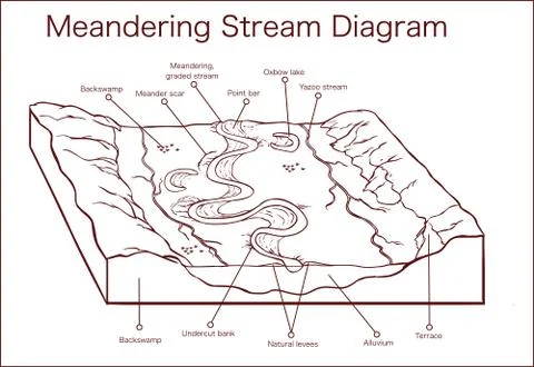 Vector illustration of a Meandering Stream Illustration