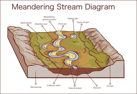 Vector illustration of a Meandering Stream Stock Illustration