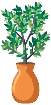 Vector Illustration of a Mediterranean Olive Tree in a Terracotta Vase Stock Illustration