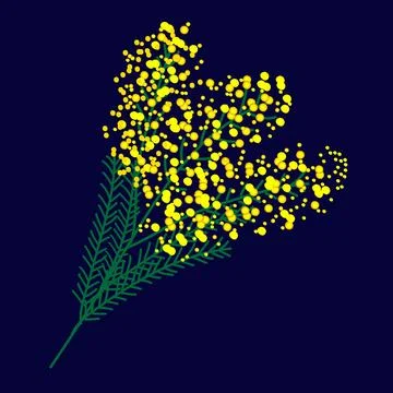 A vector illustration of a mimosa branch with bright yellow fluffy blossoms.. Stock Illustration