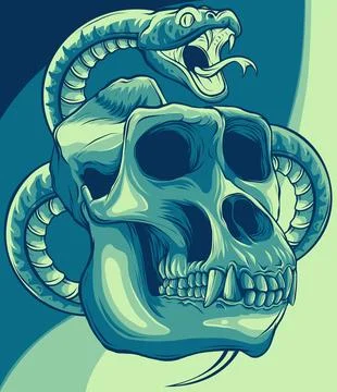 Vector illustration of monkey skull with snake around Stock Illustration