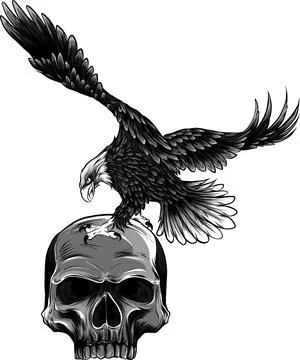 Vector illustration of monochrome eagle on human skull isolated background 스톡 일러스트
