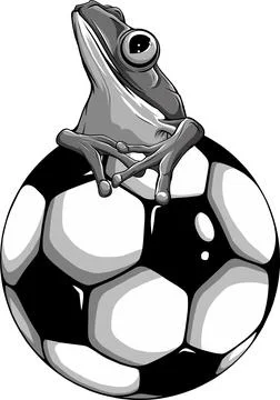 Vector illustration of monochrome frog sitting on football ball Illustrazione stock