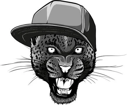 Vector illustration of monochrome leopard head with hat イラスト素材