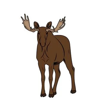 Vector Illustration of a Moose Stock Illustration