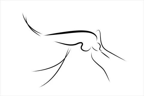 Vector illustration of mosquito painted with simple lines. Symbol of insect a Stock Illustration