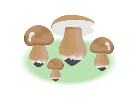 Vector illustration of mushrooms in the forest. Stock Illustration