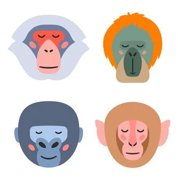 Vector illustration of muzzles of various monkeys Stock Illustration