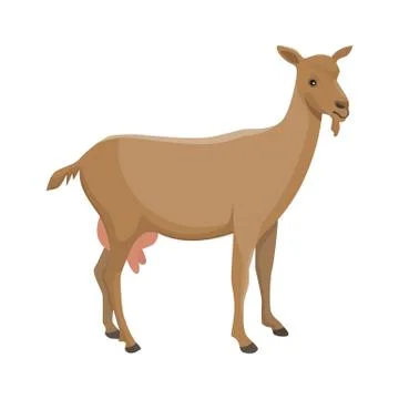Vector illustration of a nanny goat Stock Illustration
