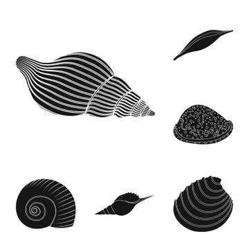 Vector illustration of nature and ocean logo. Set of nature and mollusk stock Illustrazione stock