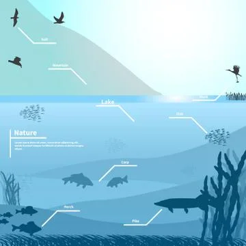 Vector illustration of nature on a blue background Stock Illustration
