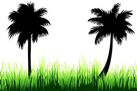 Vector illustration of nature with palm tree on white background. Stock Illustration