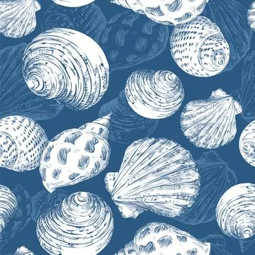 Vector illustration navy seamless pattern hand drawn seashells Stock Illustration