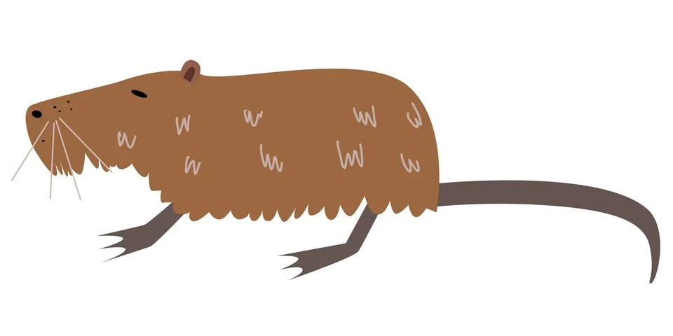 Vector illustration of nutria in a flat style Stock Illustration