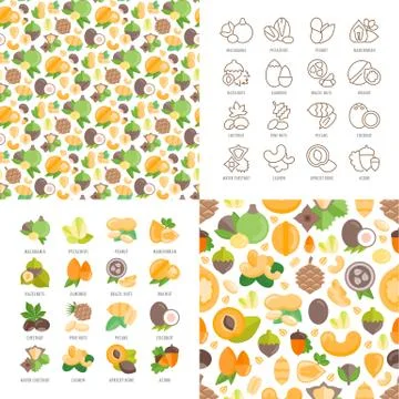 Vector Illustration of Nuts Icons and Patterns. イラスト素材
