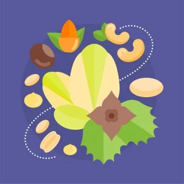 Vector Illustration of Nuts. Stock Illustration