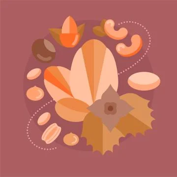 Vector Illustration of Nuts. 스톡 일러스트