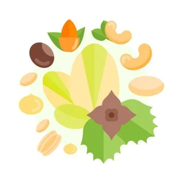 Vector Illustration of Nuts. Stock Illustration