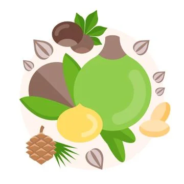 Vector Illustration of Nuts. Stock Illustration