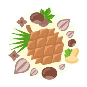 Vector Illustration of Nuts. Stock Illustration