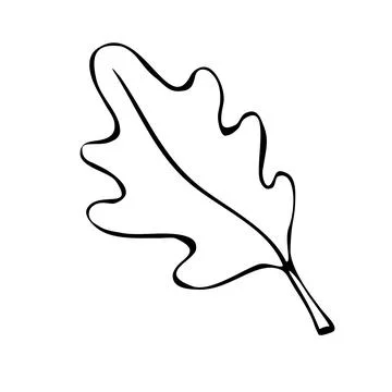 Vector illustration of an oak leaf. Doodle and outline elements of nature des Stock Illustration