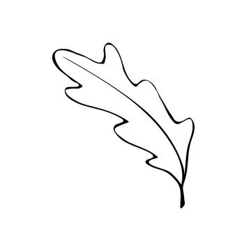 Vector illustration of an oak leaf. Doodle and outline elements of nature des Illustrazione stock