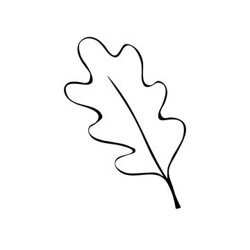 Vector illustration of an oak leaf. Doodle and outline elements of nature des 스톡 일러스트