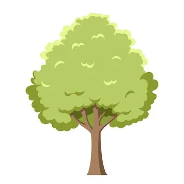 Vector illustration of an oak tree in cartoon style isolated on white backg.. Stock Illustration