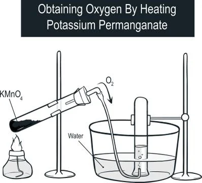 Vector illustration of Obtaining Oxygen By Heating Potassium Permanganate Stock Illustration
