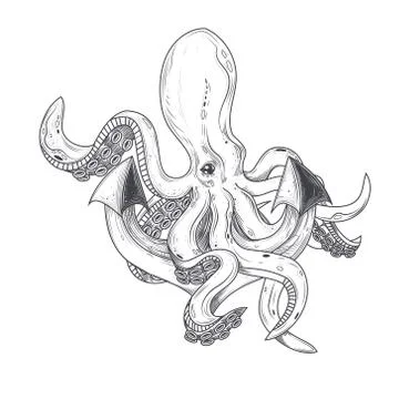 Vector illustration of an octopus hugging tentacles of a ships anchor Stock-Illustration