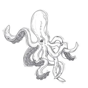 Vector illustration of an octopus painted in an engraving style isolated on Illustrazione stock
