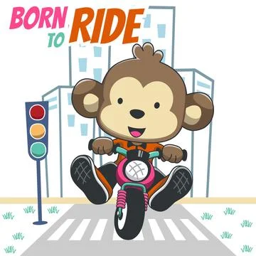 Vector illustration ofcute monkey ride a motorcycle, Can be used for t-shir.. Stock Illustration
