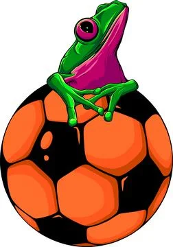 Vector illustration offrog playing with foot ball on white background Stock Illustration