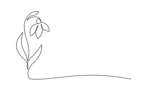Vector illustration of one line drawing of Snowdrop Stock Illustration