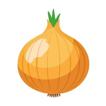 Vector illustration of onion, round shape, light brown skin, clean flat design. Stock Illustration
