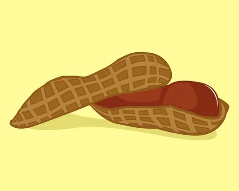 Vector illustration of the open roasted peanut Stock Illustration