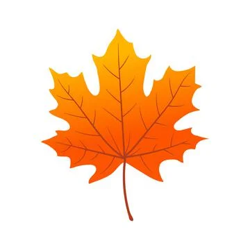 Vector illustration of orange maple leaf icon. Stock Illustration