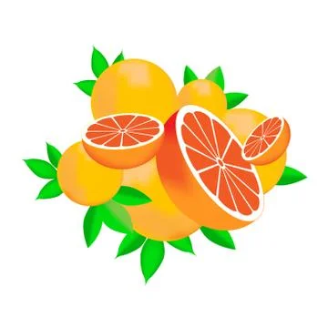 Vector illustration of an orange or grapefruit with slices and leaves. Stock Illustration