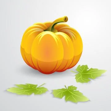 Vector illustration of orange pumpkin and green leaves Illustrazione stock
