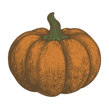 Vector illustration of orange pumpkin in retro style. Stock Illustration