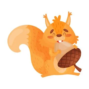 Vector Illustration Of Orange Squirrel Eating A Big Nut. Stock Illustration