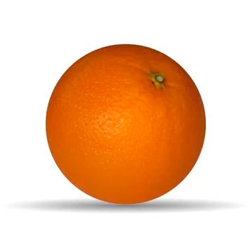 Vector illustration of oranges.Vector illustration of fruit oranges. Illustrazione stock